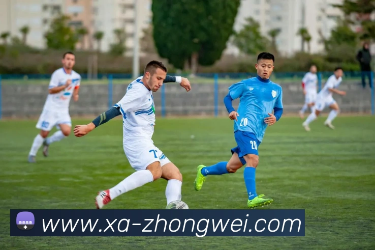 星空app网页登录入口平台生态图